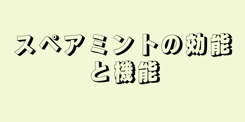 スペアミントの効能と機能