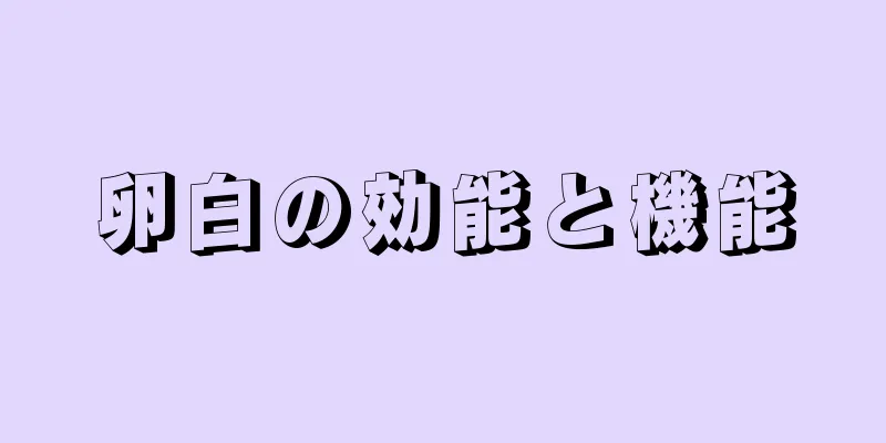 卵白の効能と機能