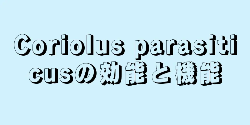 Coriolus parasiticusの効能と機能