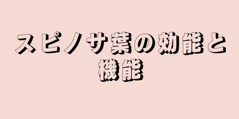スピノサ葉の効能と機能