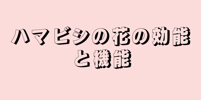 ハマビシの花の効能と機能