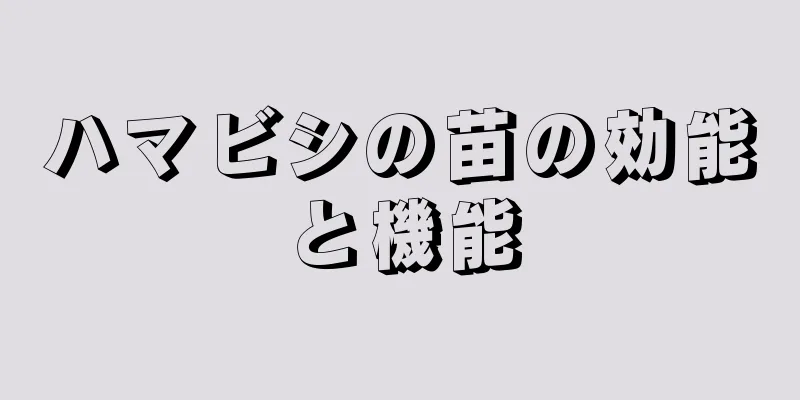 ハマビシの苗の効能と機能