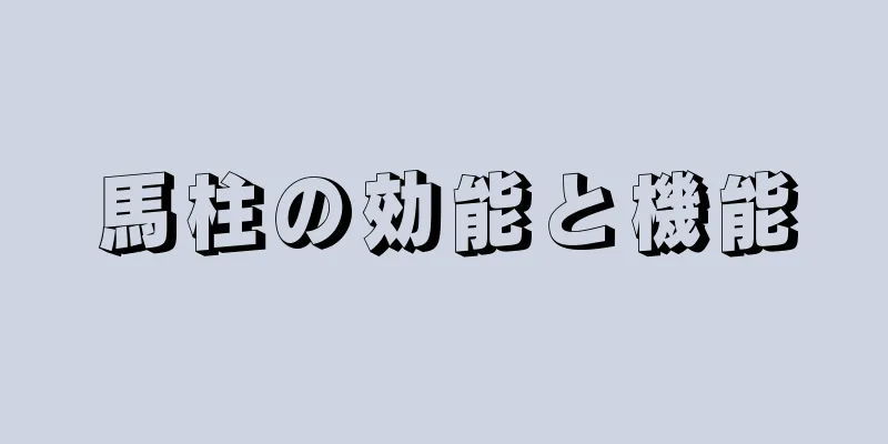 馬柱の効能と機能