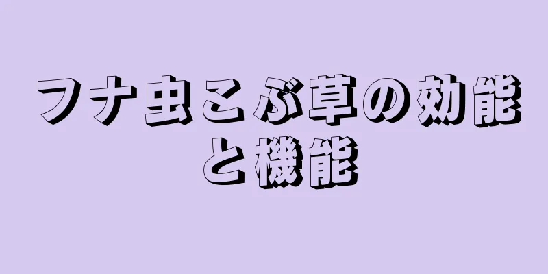 フナ虫こぶ草の効能と機能