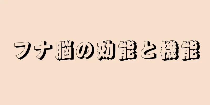 フナ脳の効能と機能