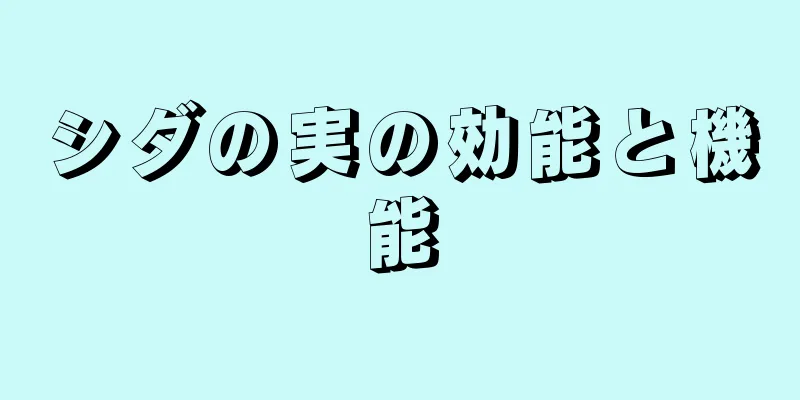 シダの実の効能と機能