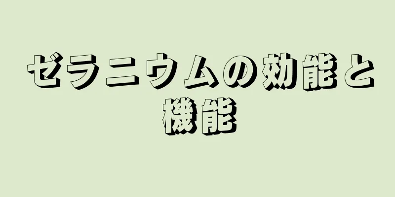ゼラニウムの効能と機能
