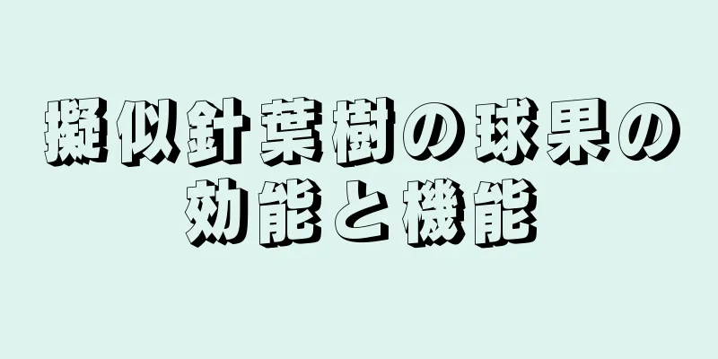 擬似針葉樹の球果の効能と機能