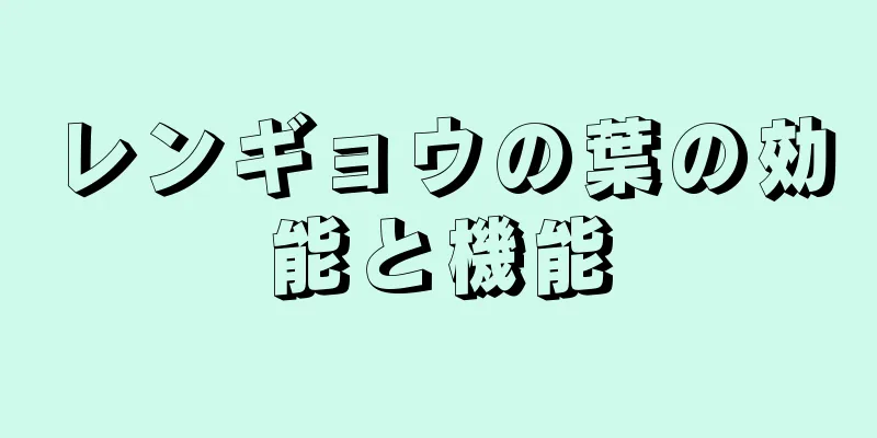 レンギョウの葉の効能と機能
