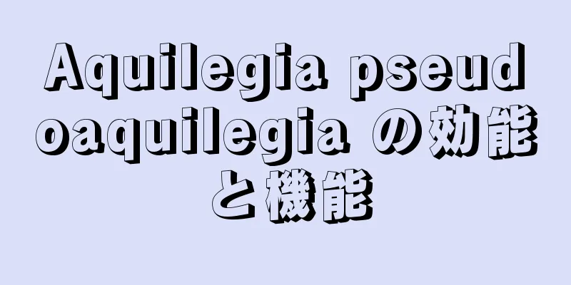 Aquilegia pseudoaquilegia の効能と機能