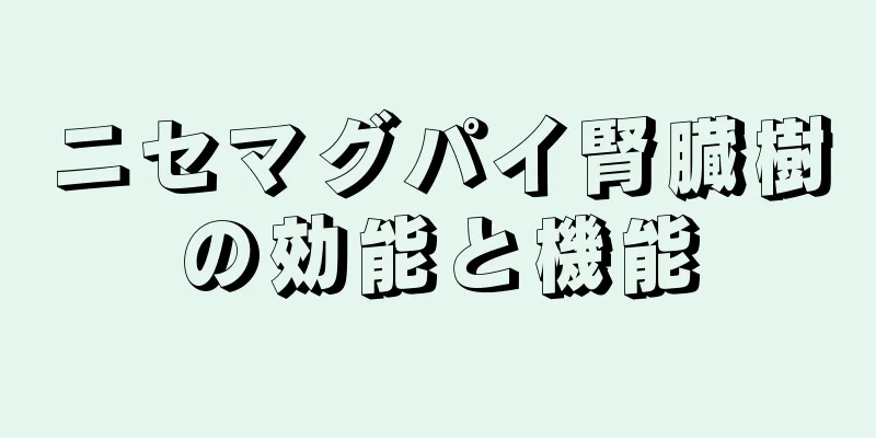 ニセマグパイ腎臓樹の効能と機能