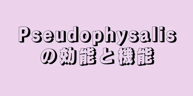 Pseudophysalisの効能と機能