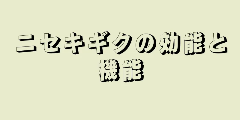 ニセキギクの効能と機能