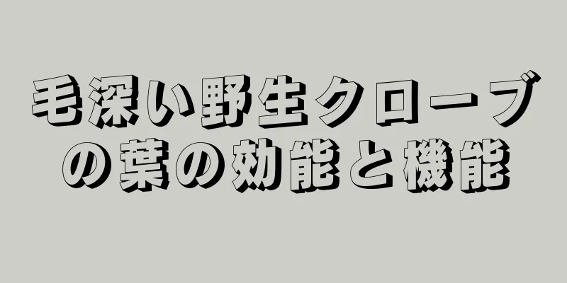 毛深い野生クローブの葉の効能と機能