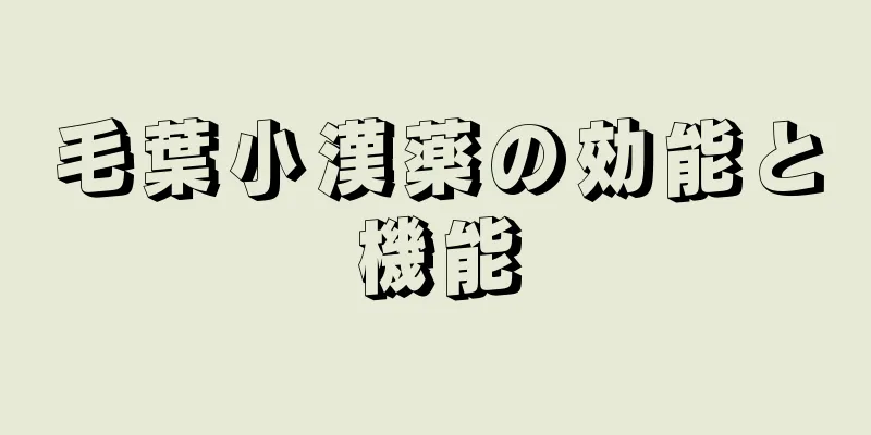 毛葉小漢薬の効能と機能