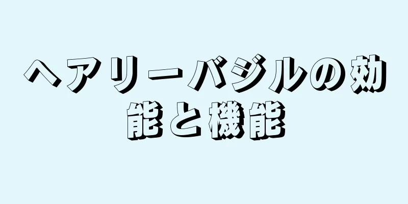 ヘアリーバジルの効能と機能