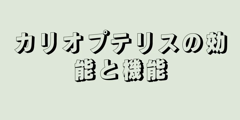 カリオプテリスの効能と機能