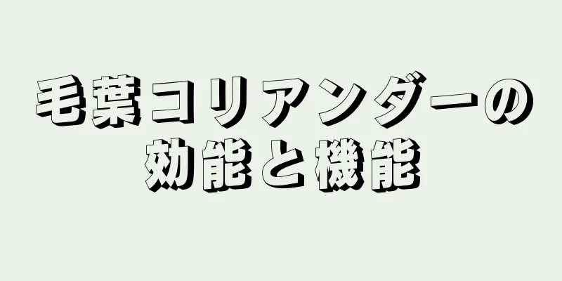 毛葉コリアンダーの効能と機能