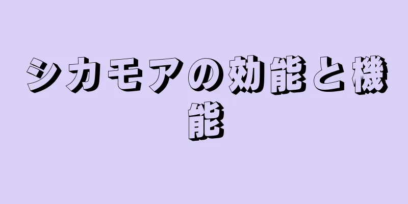 シカモアの効能と機能