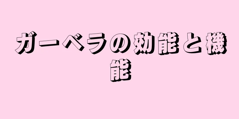 ガーベラの効能と機能