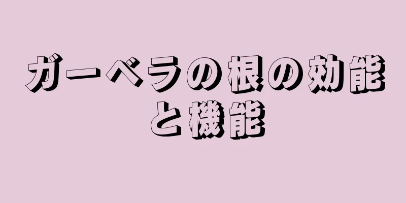 ガーベラの根の効能と機能