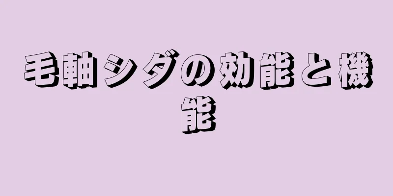 毛軸シダの効能と機能