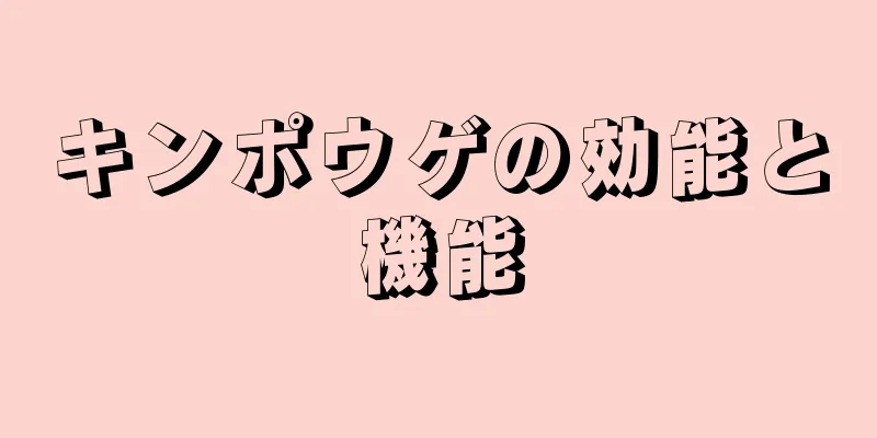 キンポウゲの効能と機能
