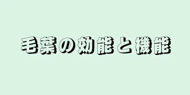 毛葉の効能と機能