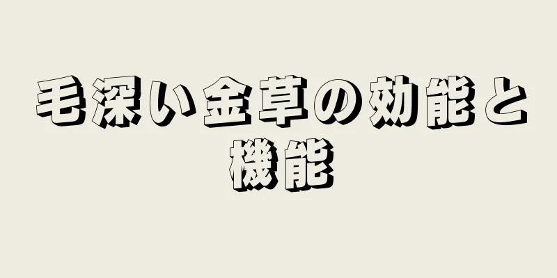 毛深い金草の効能と機能