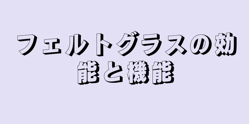 フェルトグラスの効能と機能