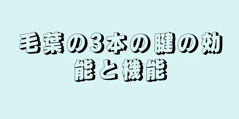 毛葉の3本の腱の効能と機能