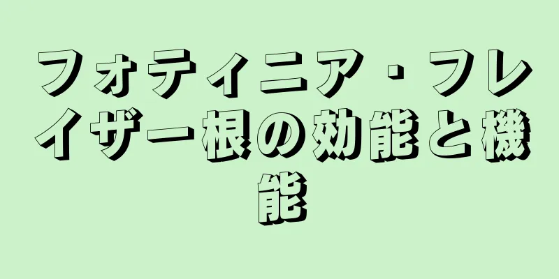 フォティニア・フレイザー根の効能と機能