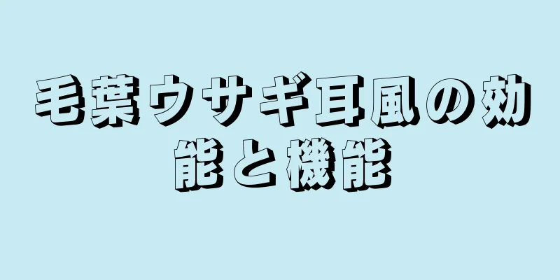 毛葉ウサギ耳風の効能と機能