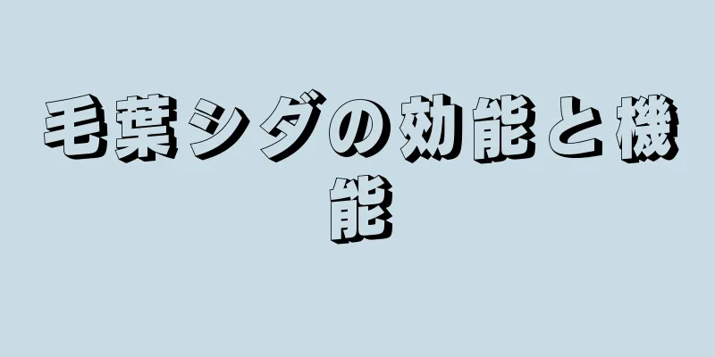 毛葉シダの効能と機能