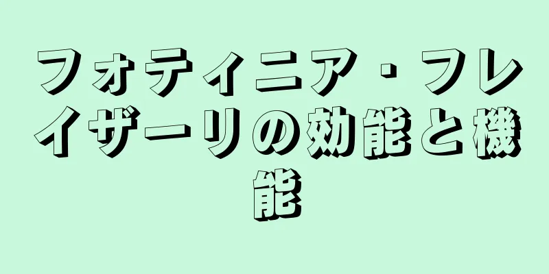 フォティニア・フレイザーリの効能と機能