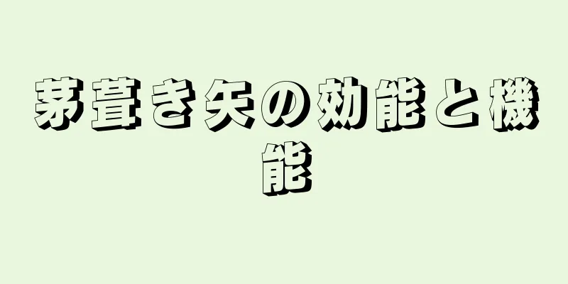 茅葺き矢の効能と機能