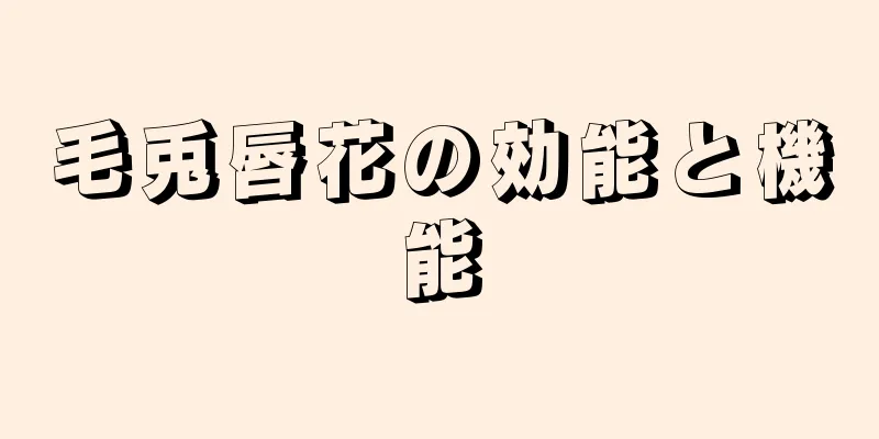 毛兎唇花の効能と機能
