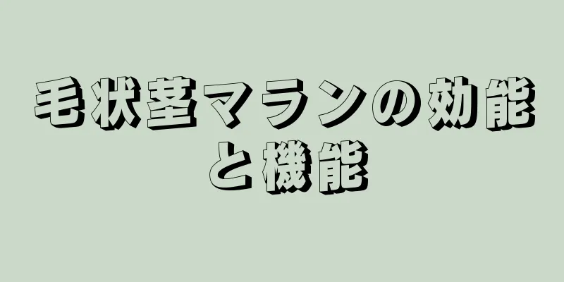 毛状茎マランの効能と機能