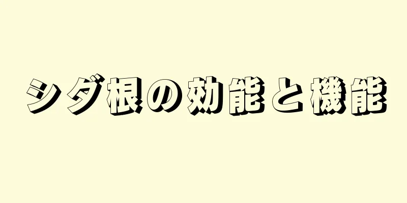 シダ根の効能と機能