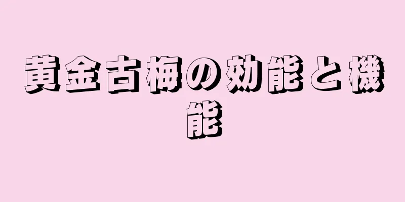 黄金古梅の効能と機能