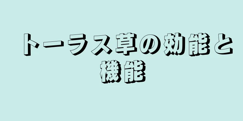 トーラス草の効能と機能