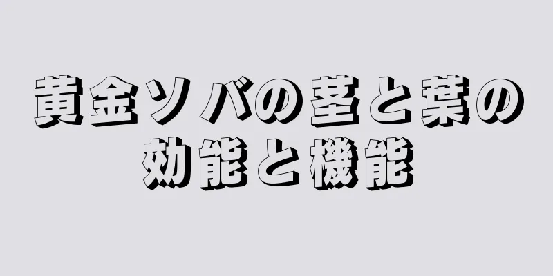 黄金ソバの茎と葉の効能と機能