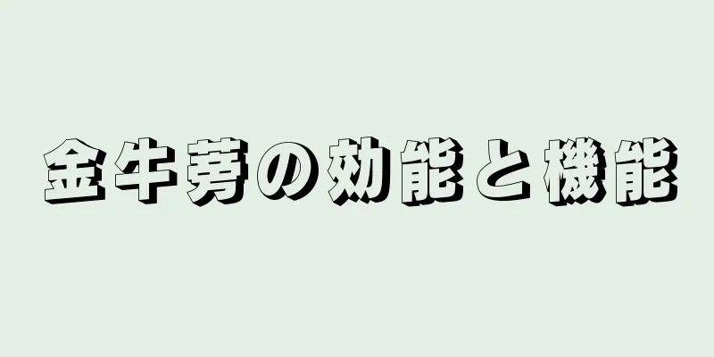金牛蒡の効能と機能