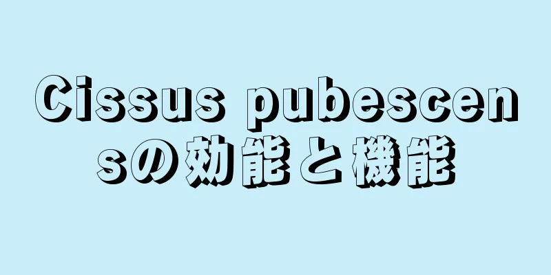 Cissus pubescensの効能と機能