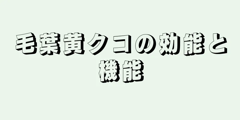毛葉黄クコの効能と機能