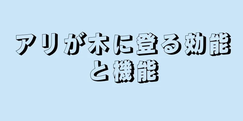 アリが木に登る効能と機能