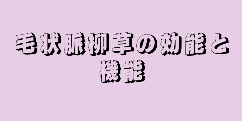 毛状脈柳草の効能と機能
