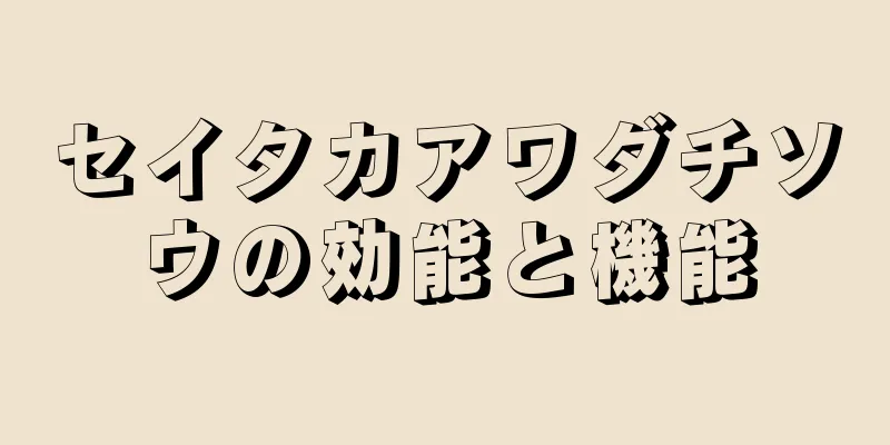 セイタカアワダチソウの効能と機能