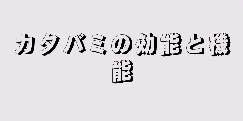 カタバミの効能と機能