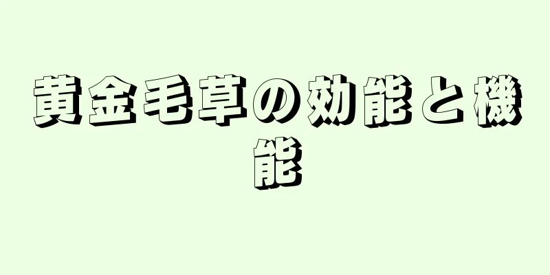 黄金毛草の効能と機能